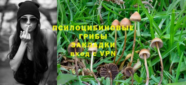 марки lsd Инта