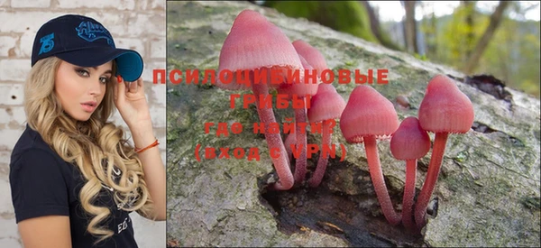 не бодяженный Инсар